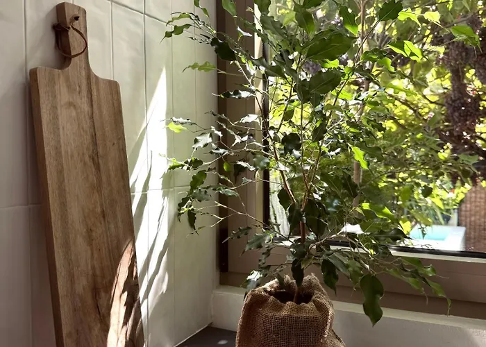 Apartman Casa Dvornik