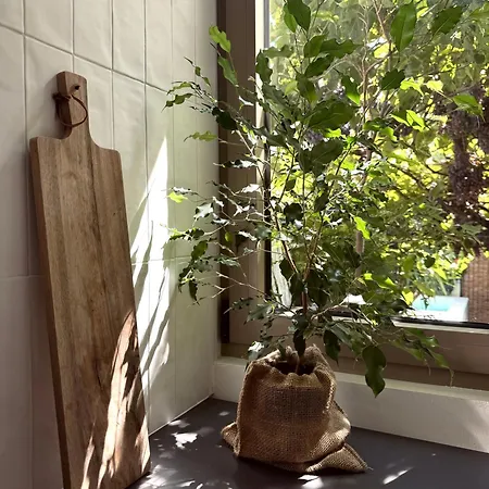 アパート Casa Dvornik